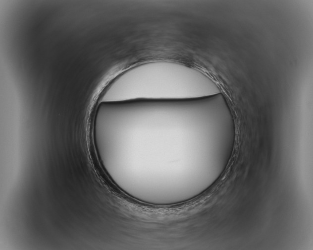 X0000088390006200705220810