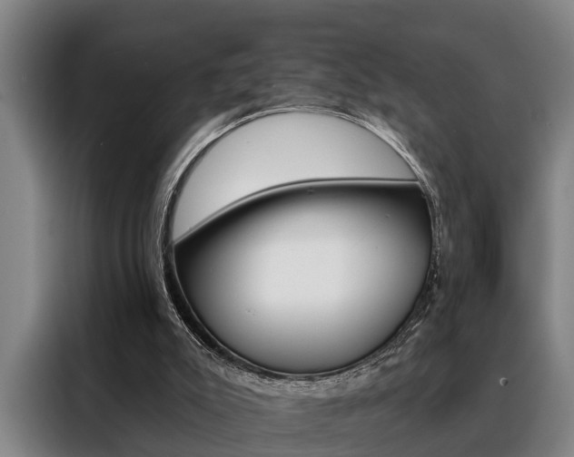 X0000088390007200705220810