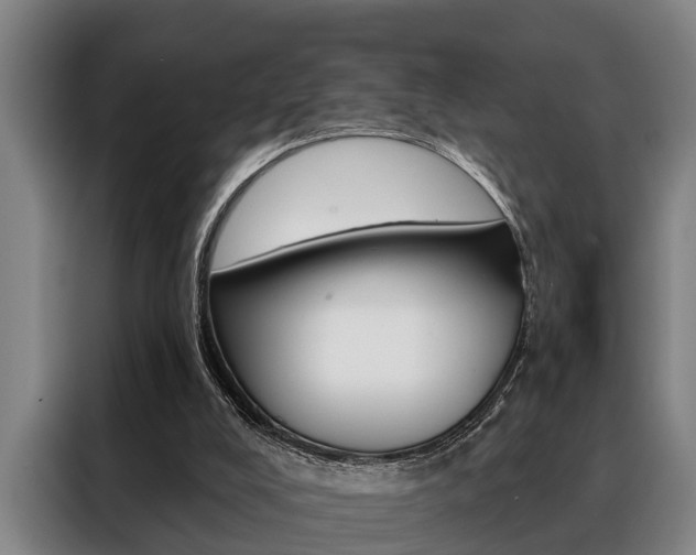 X0000088390008200705220810