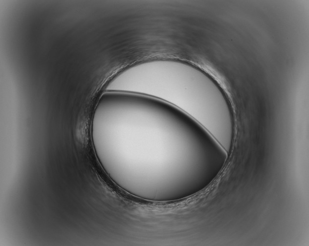 X0000088390009200705220810