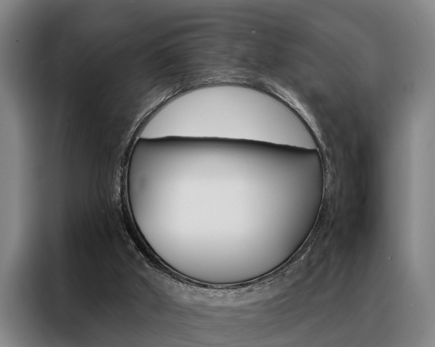 X0000088390010200705220810