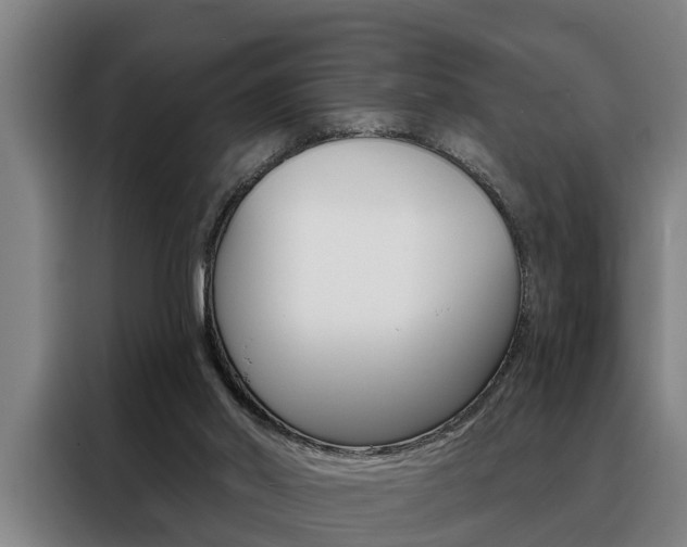 X0000088390014200705220810