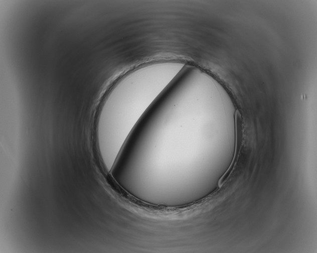 X0000088390015200705220810