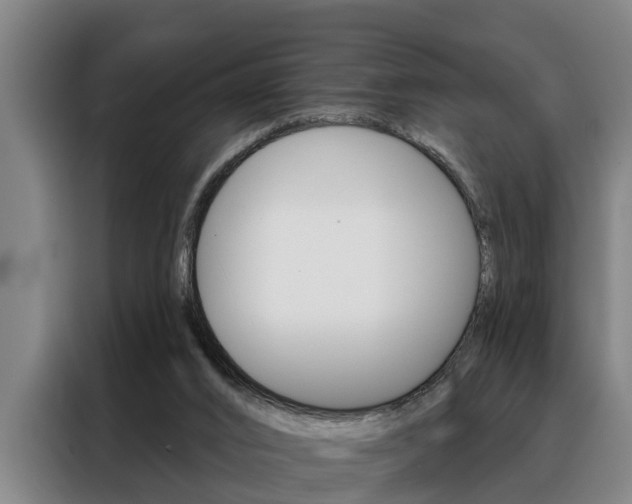 X0000088390016200705220810