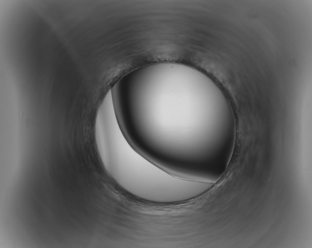 X0000088390017200705220810