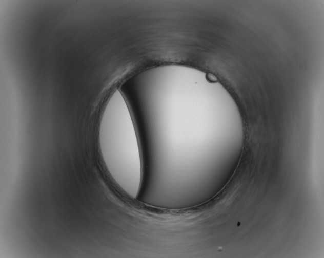 X0000088390020200705220810