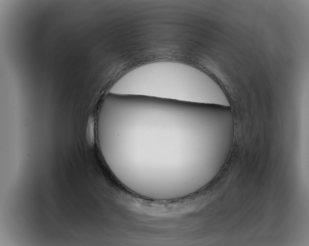 X0000088390022200705220810