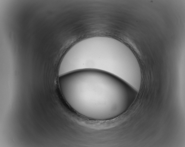 X0000088390023200705220810