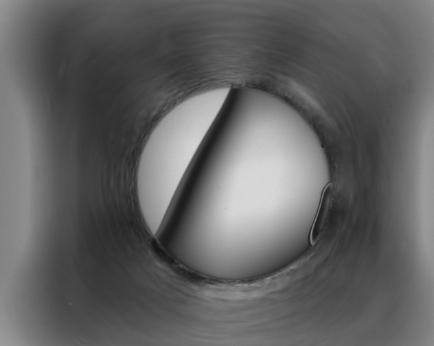 X0000088390025200705220810