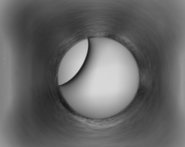 X0000088390026200705220810