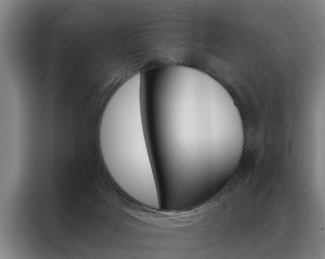 X0000088390027200705220810