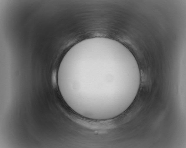 X0000088390028200705220810