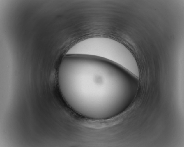 X0000088390029200705220810