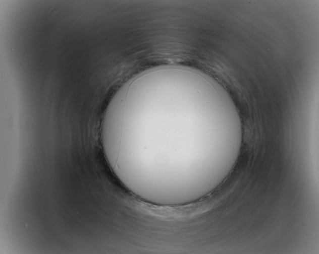 X0000088390030200705220810