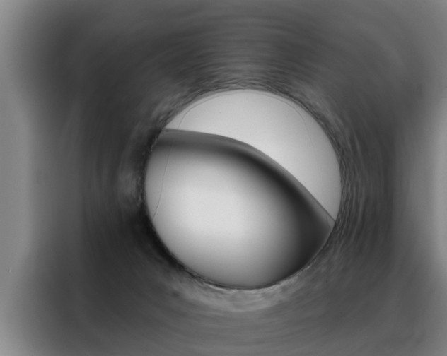 X0000088390031200705220810