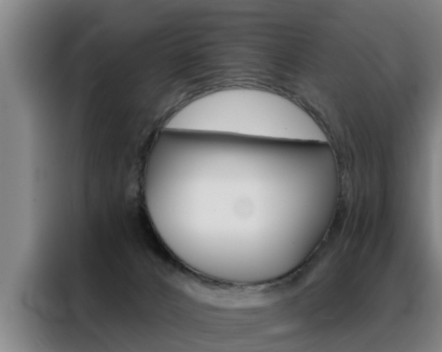 X0000088390032200705220810