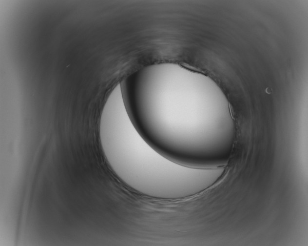 X0000088390033200705220810