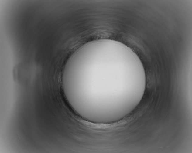 X0000088390034200705220810