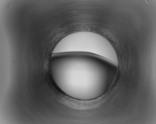 X0000088390035200705220810