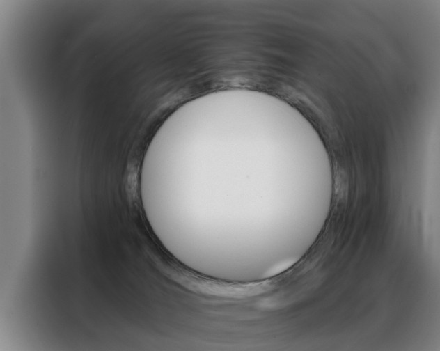 X0000088390036200705220810