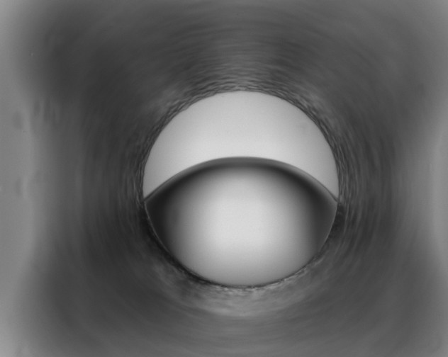 X0000088390037200705220810