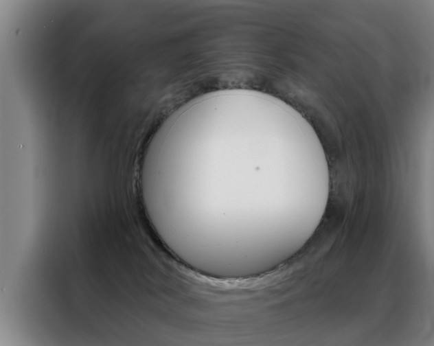 X0000088390038200705220810