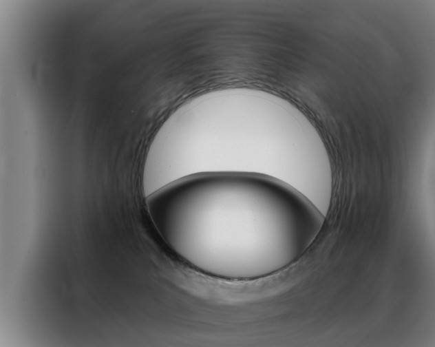 X0000088390039200705220810