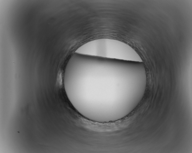 X0000088390042200705220810