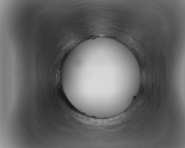 X0000088390043200705220810