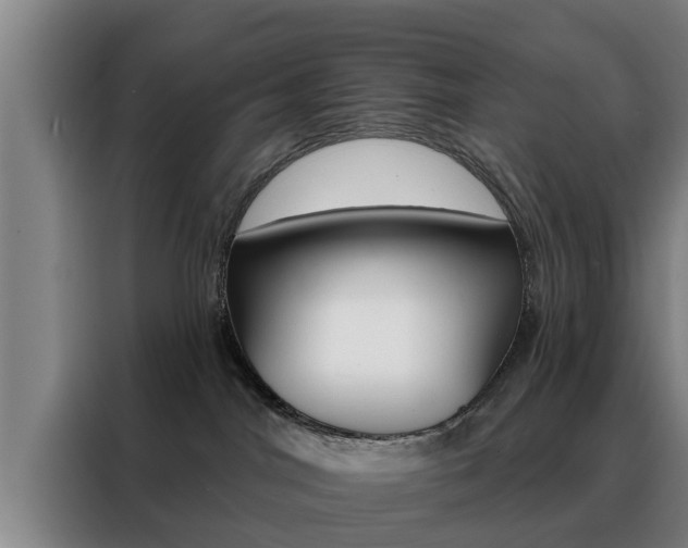 X0000088390044200705220810