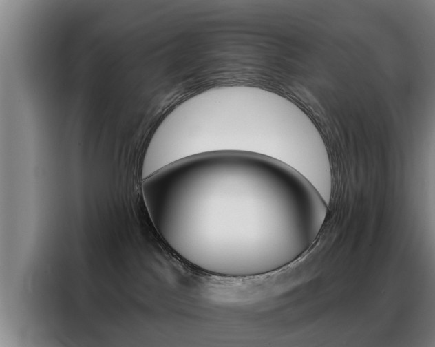 X0000088390045200705220810