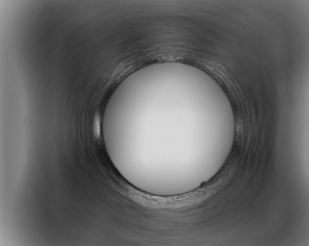 X0000088390046200705220810