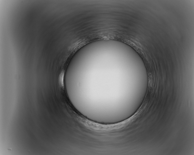 X0000088390047200705220810