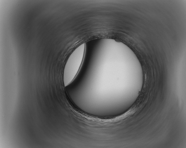 X0000088390048200705220810