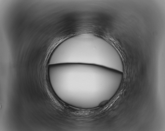 X0000088390049200705220809