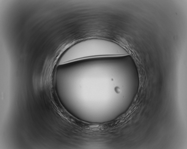 X0000088390050200705220809