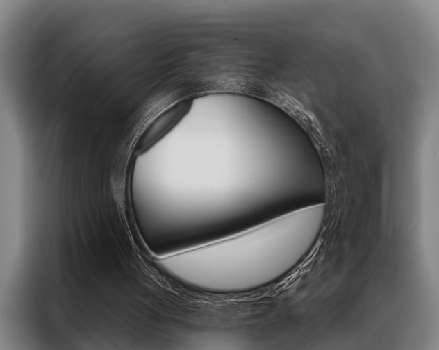 X0000088390051200705220809