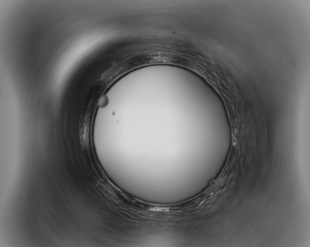 X0000088390052200705220809