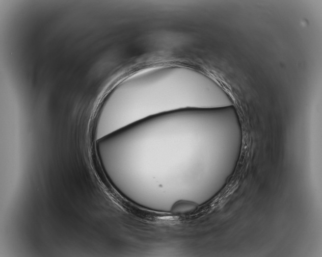 X0000088390053200705220809