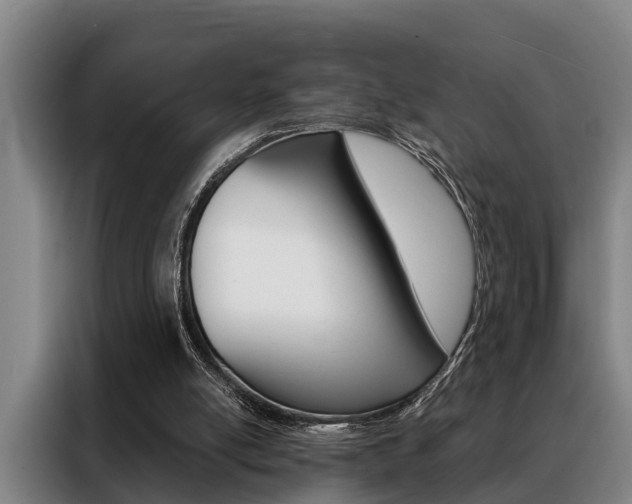 X0000088390054200705220809