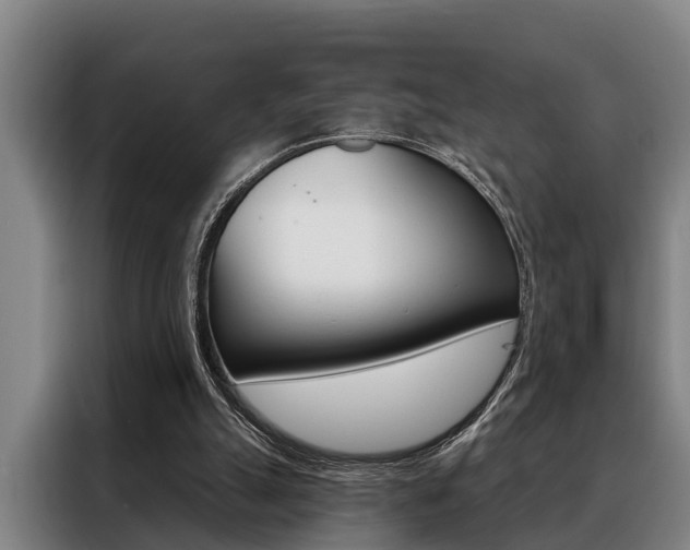 X0000088390055200705220809