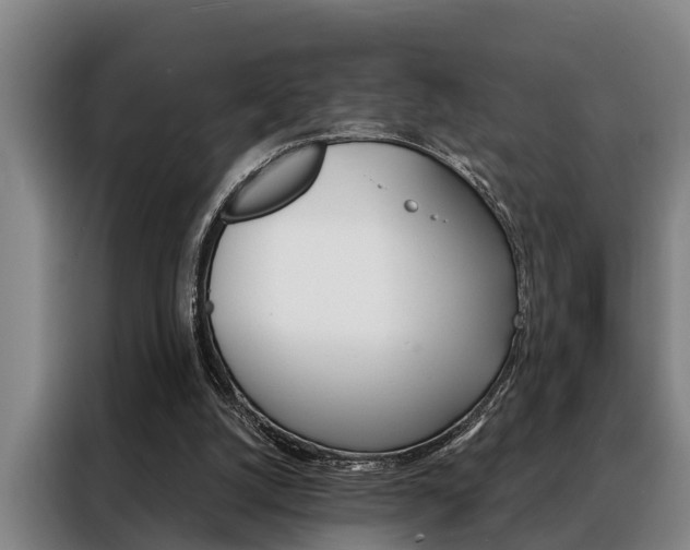 X0000088390056200705220809