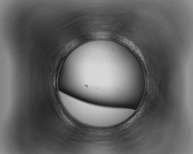 X0000088390057200705220809