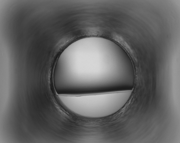 X0000088390058200705220809