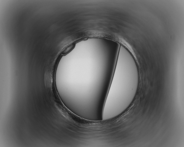 X0000088390059200705220809