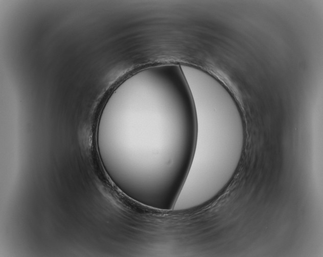 X0000088390060200705220809