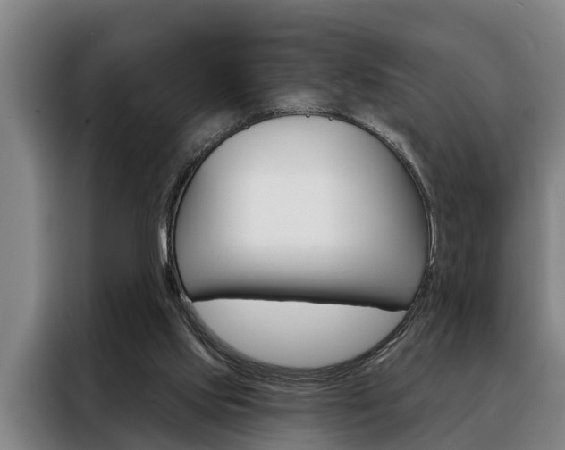 X0000088390061200705220809