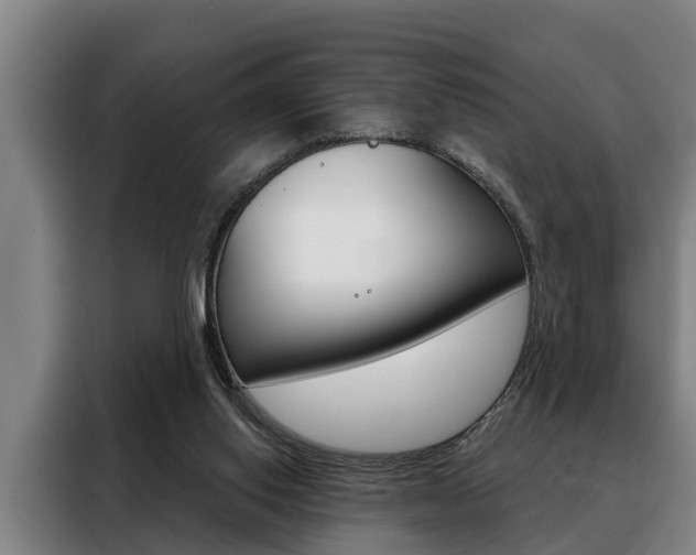 X0000088390062200705220809