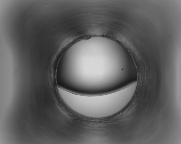 X0000088390064200705220809