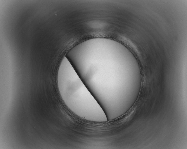 X0000088390065200705220809